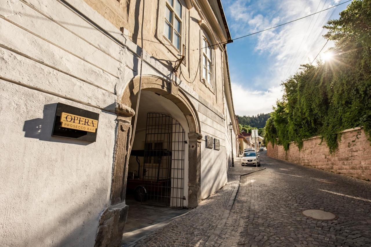Apartmán Blue Moon Banska Stiavnica Exterior foto